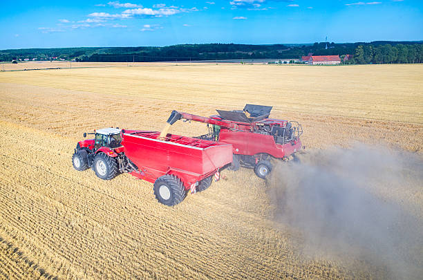 istock Filling the truck with wheat seeds 489182194