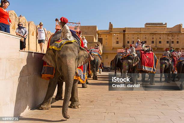 Amber Fort Elephant Stock Photo - Download Image Now - Amber Fort, Asian Elephant, City