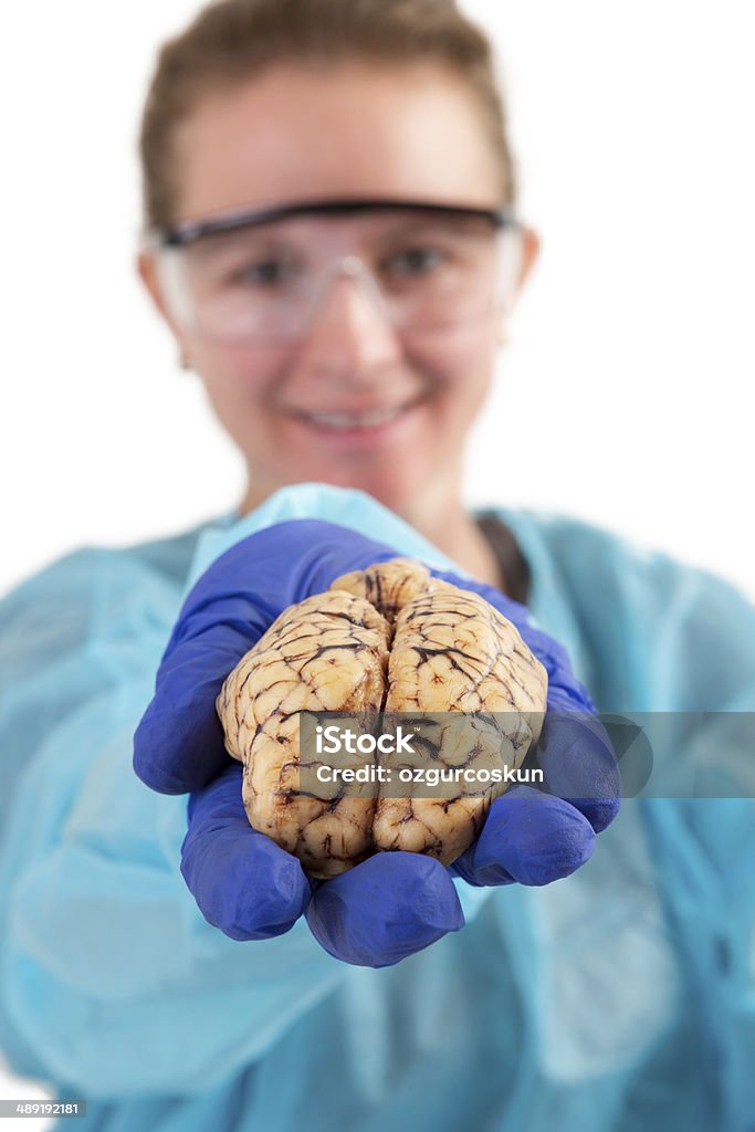 Pathologiste tenant un cerveau dans sa main - Photo de Adulte libre de droits