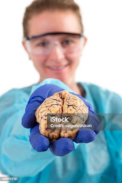 병리학자 쥠 뇌 자신의 손으로 STEM-주제에 대한 스톡 사진 및 기타 이미지 - STEM-주제, 건강 진단, 건강관리와 의술