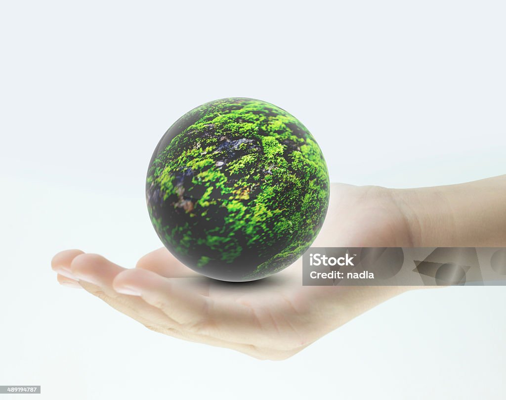 Take care of the environment Bush Stock Photo