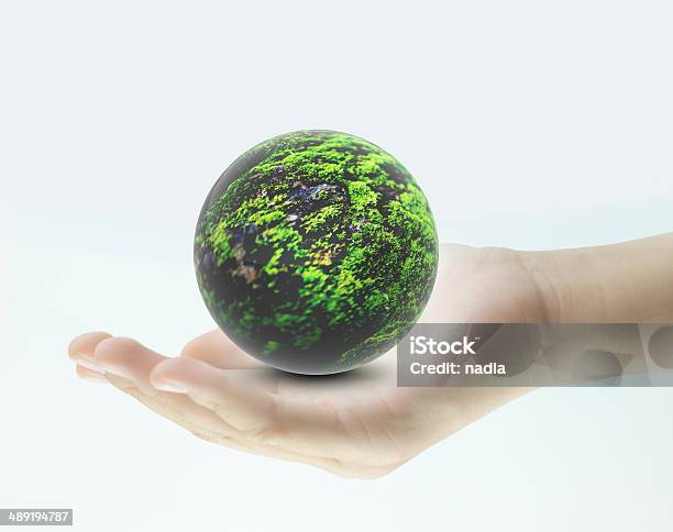 Take Care Of The Environment Stock Photo - Download Image Now - Bush, White Background, Achievement