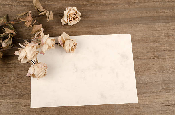istock dry roses on vintage paper 489195589