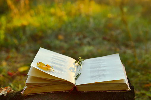 Vintage book of poetry outdoors with flower and leaf on it