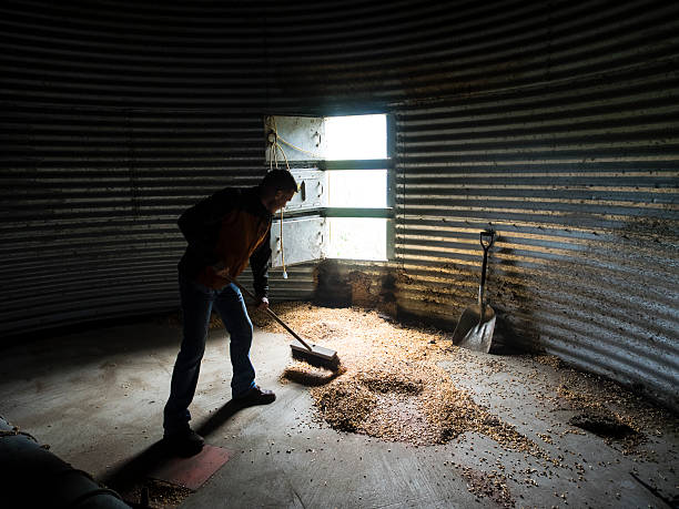 homme nettoyage en réservoir à grain - broom corn photos et images de collection