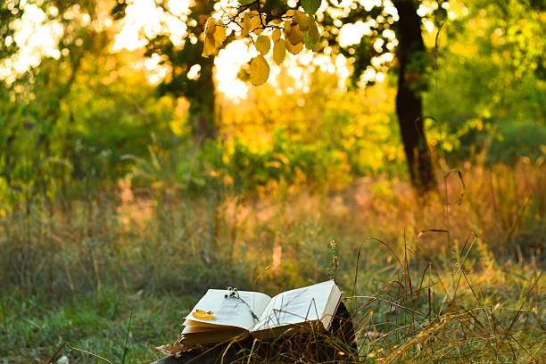 istock Vintage book of poetry outdoors under a tree 489203438