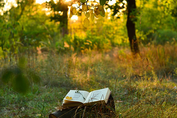 istock Vintage book of poetry outdoors under a tree 489203602