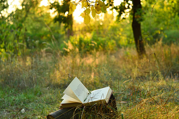 istock Vintage book of poetry outdoors under a tree 489203838