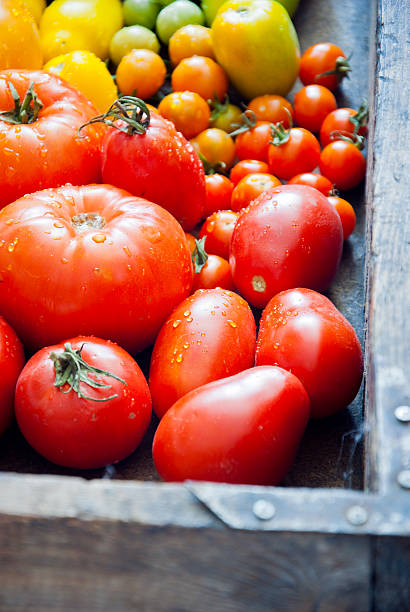 tomates - heirloom tomato food tomato crate photos et images de collection