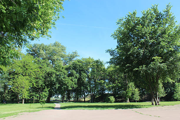 istock Beautiful park with many green trees 489204478