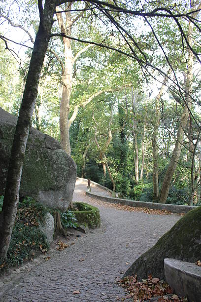 istock The path to go to Moors Castle 489204910