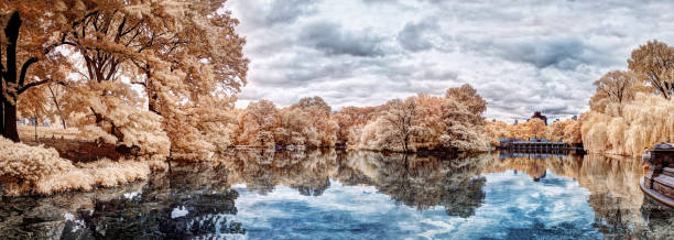 a rambla e o lago, o central park de infravermelho - ramble - fotografias e filmes do acervo