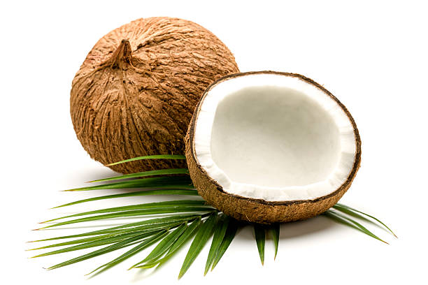 Coconut Coconut cocos stock pictures, royalty-free photos & images