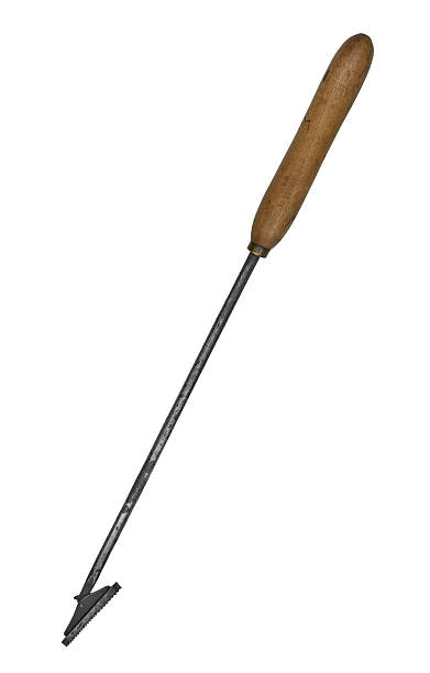 istock vintage horse rasp 489220547