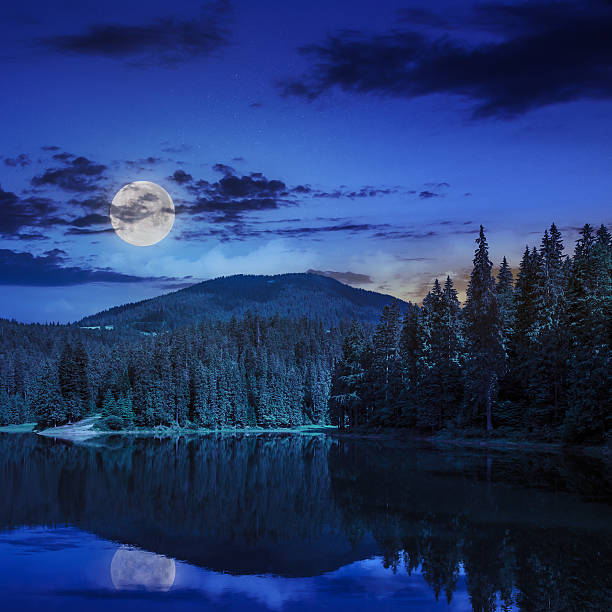 istock pine forest and lake near the mountain at night 489222471