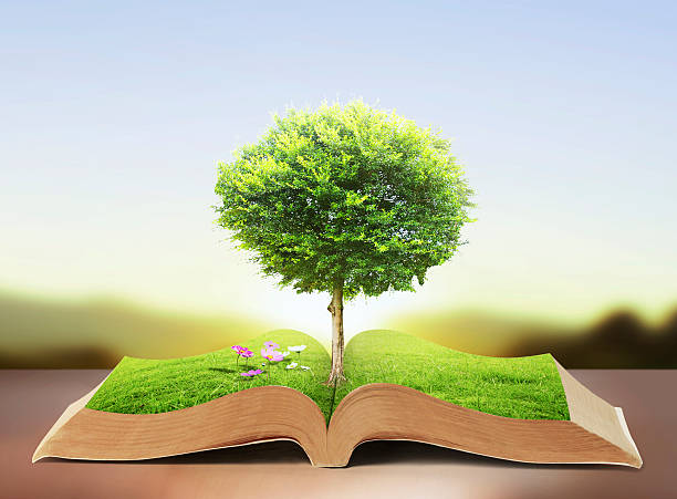 istock book of nature with grass and tree 489222495