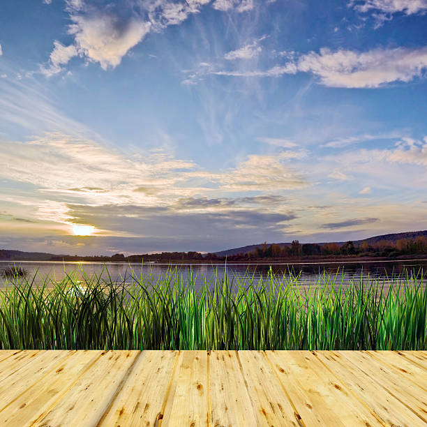 istock Beautiful summer landscape at the lake in evening 489224177
