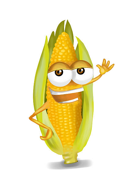 Happy yellow corn cartoon character is laughing with joyfully raised arms, being a cute and funny corn character with a big smile, on a white background. Intense yellow, enthusiastic vegetable hovers over the floor with a delicate shadow beneath. This dark yellow vegetable cartoon may represent healthy lifestyle, healthy food, organic farming, vegetarianism, vegan diet, good nutrition or be an illustration for children. Expresses superiority of healthy food over junk food and can be a way to encourage people to consume corns. Two raised arms of this maize enhance its happy, ecstatic or even surprised expression.