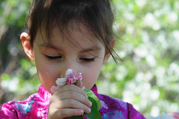 istock Beautiful girl holding apple blossom 489225103