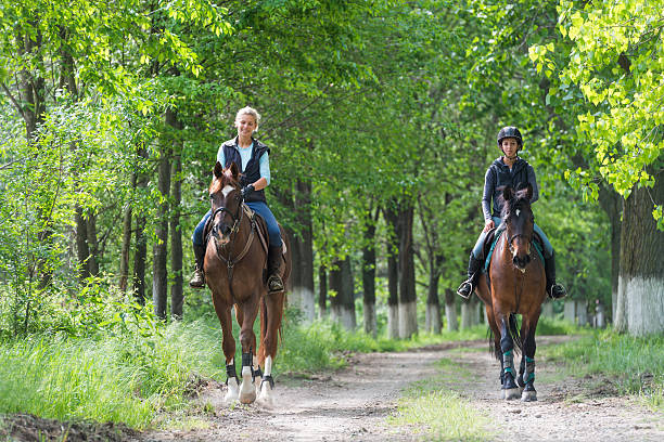 Portrait of a young woman riding her Pinto horse in the beautiful evening light on the cliffs at Møns Klint on island of Moen in Denmark. The area is famous for its dramatic chalk cliffs and the forest that lead upto it, the area is a popular tourist destination for many northern europeans escaping busy city life. Colour, landscape format with some copy space.