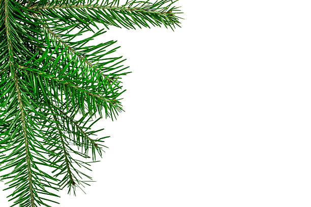 istock Christmas decoration isolated over white 489246078