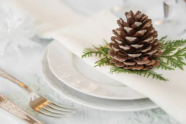 Pine cone lies on beautiful white porcelain plate with a linen napkin, as well as silver knife and fork, which is located on a light table