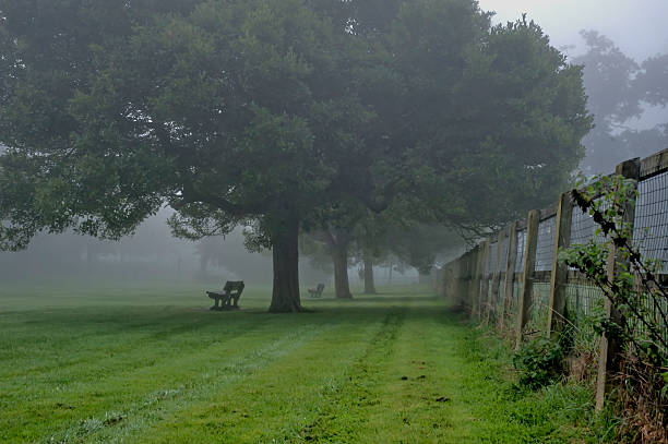 istock Fog in the park- Warminster 489247470