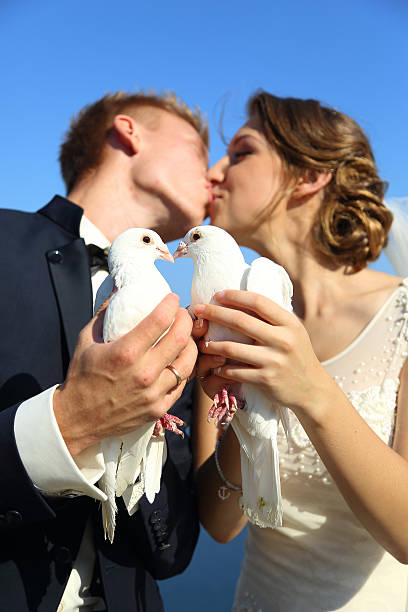 istock Wedding couple with pigeons 489248090