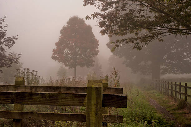 istock Fog in the park- Warminster 489249176