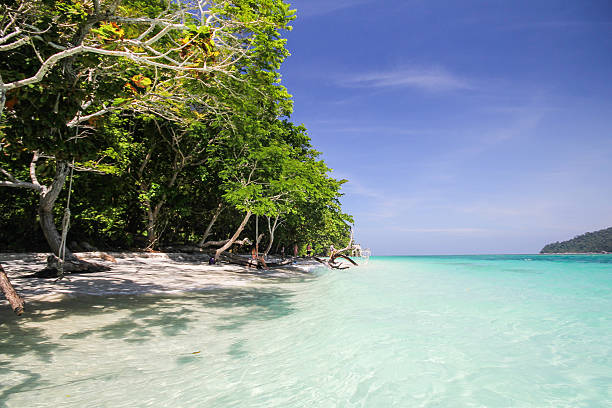 istock Ravee island, Koh Ravee, Satun province Thailand 489254254