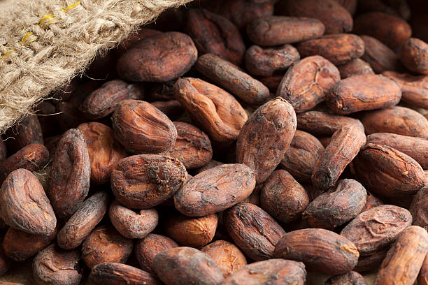 istock Cocoa beans in a jute bag 489256150