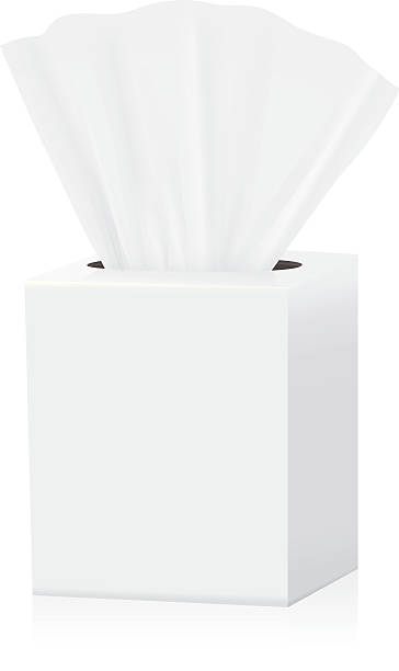Tissue box mock up White Tissue box blank label and no text for mock up packaging tissue box pattern stock illustrations