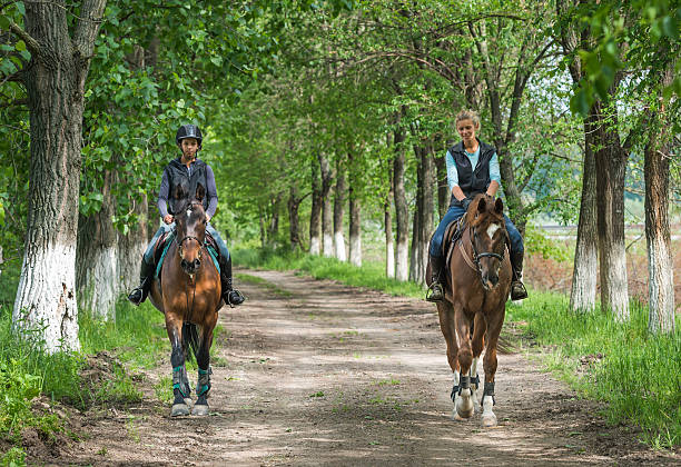 istock Girls on horseback riding 489268533