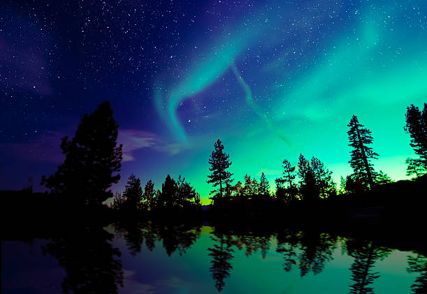 istock aurora borealis northern lights over lake and trees 489270899