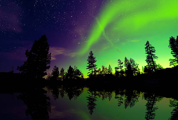 aurora borealis northern lights over lake and trees