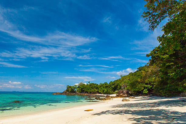 istock Andaman sea, Lipe island , Thailand 489271771