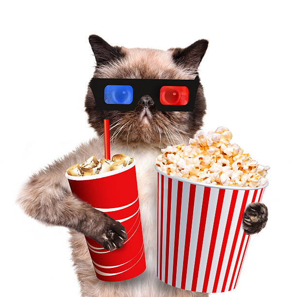 istock Cat watching a movie 489273477