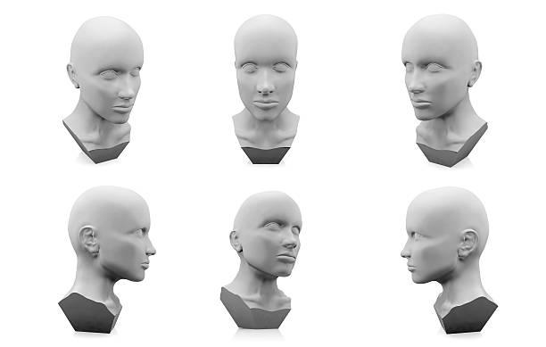 3d human head mannequin - boegbeeld model stockfoto's en -beelden