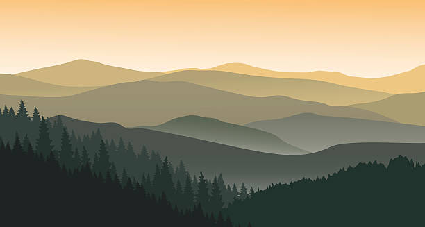 der abend im nebligen bergen - great smoky mountains great smoky mountains national park mountain fog stock-grafiken, -clipart, -cartoons und -symbole