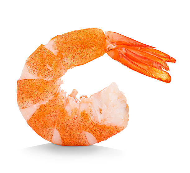 istock Tiger shrimp. Prawn isolated on a white background. Seafood 489308372