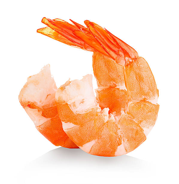 istock Tiger shrimps. Prawns isolated on a white background. Seafood 489308484