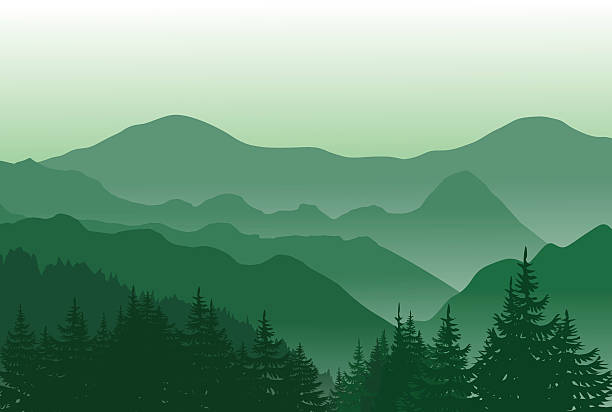 schönen grünen bergen. sommer-landschaft. - great smoky mountains great smoky mountains national park mountain smoke stock-grafiken, -clipart, -cartoons und -symbole