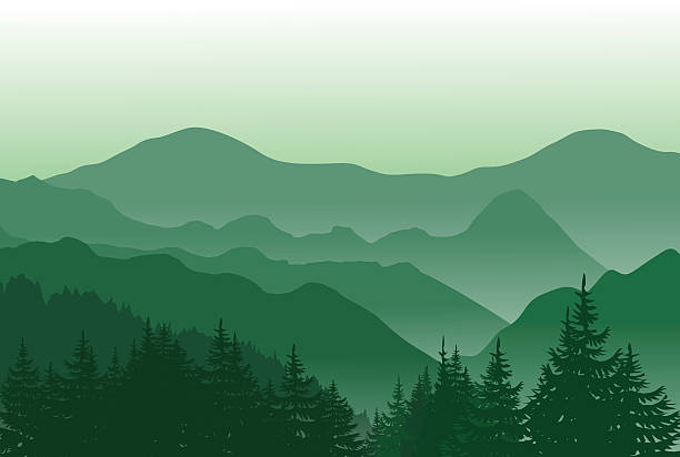 красивые зеленые горы. летний пейзаж. - layered mountain tree pine stock illustrations