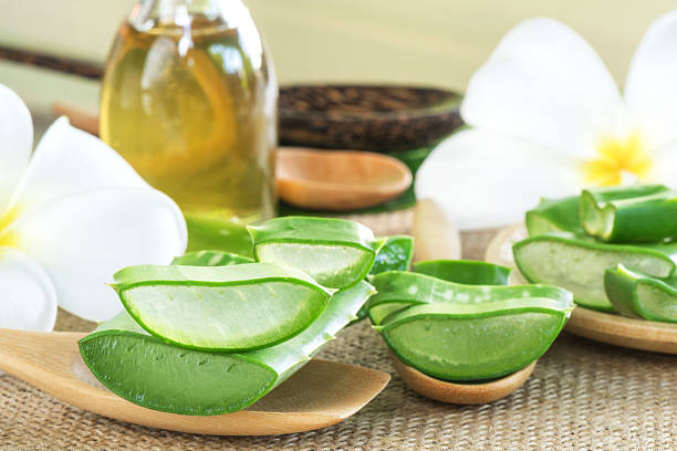 istock Aloe Vera for skin treatment and use in spa 489309698