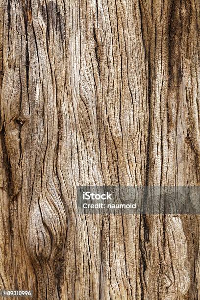 Rustic Wooden Texture Stock Photo - Download Image Now - Textured, Tree, Tree Trunk