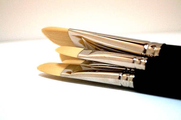 istock brush lie nearby 489311100