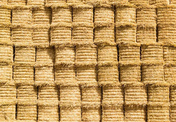 Stacked golden yellow round straw bales with repeating pattern