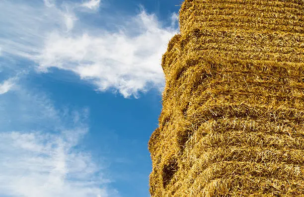 Closeup of stacked golden yellow straw bales with binding strings set against a blue sky background