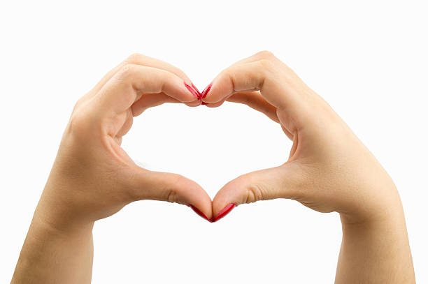 shape of the heart with hands