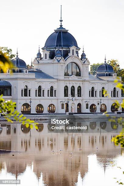 Varosliget Public City Park Budapest Stock Photo - Download Image Now - 2015, Architecture, Autumn